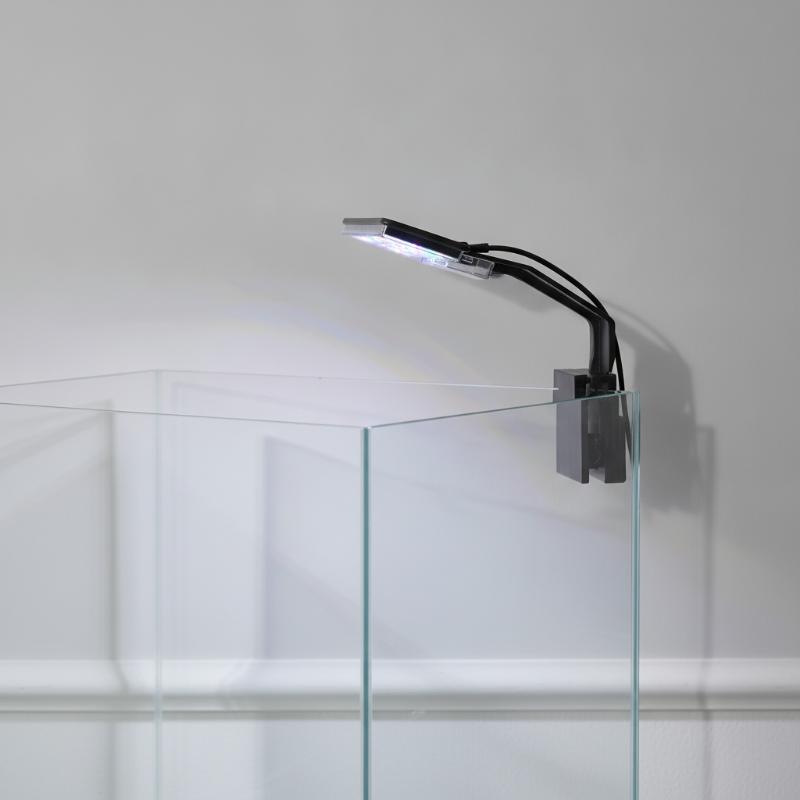 Aquarium Fish With Long Lifespan - Aquarium LED Lighting Ultra-thin Waterproof Long