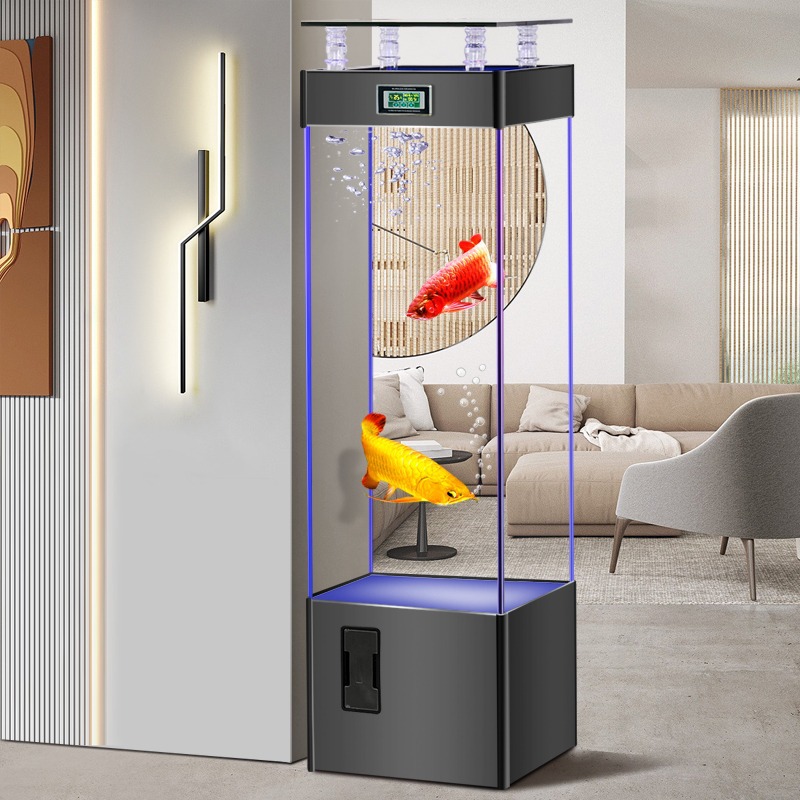 Aquarium Fish Goldfish - Ultra-clear glass fish tank, no water