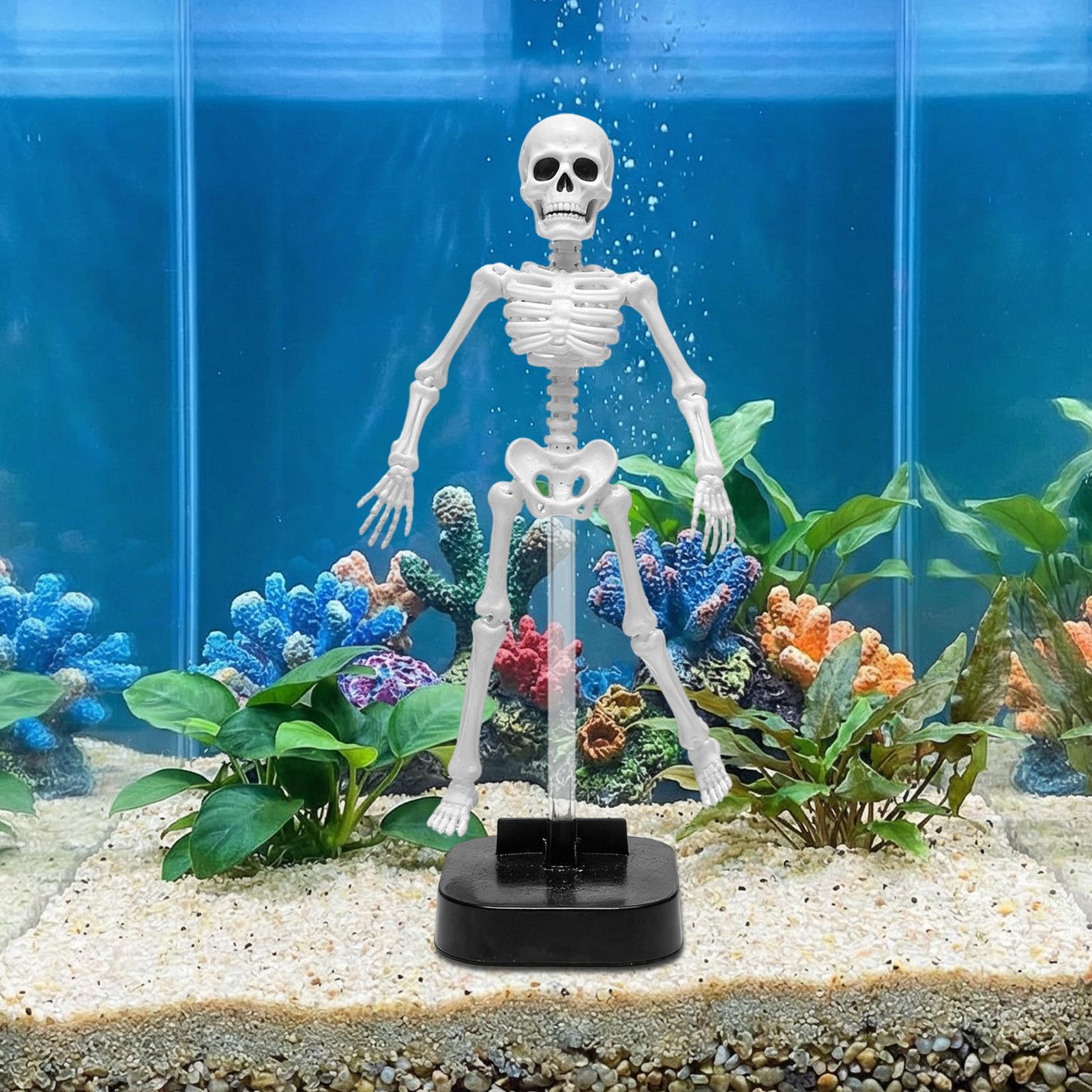 Aquarium Skeleton Decor Hallow - огляд і ціна Aquarium Fish Diseases