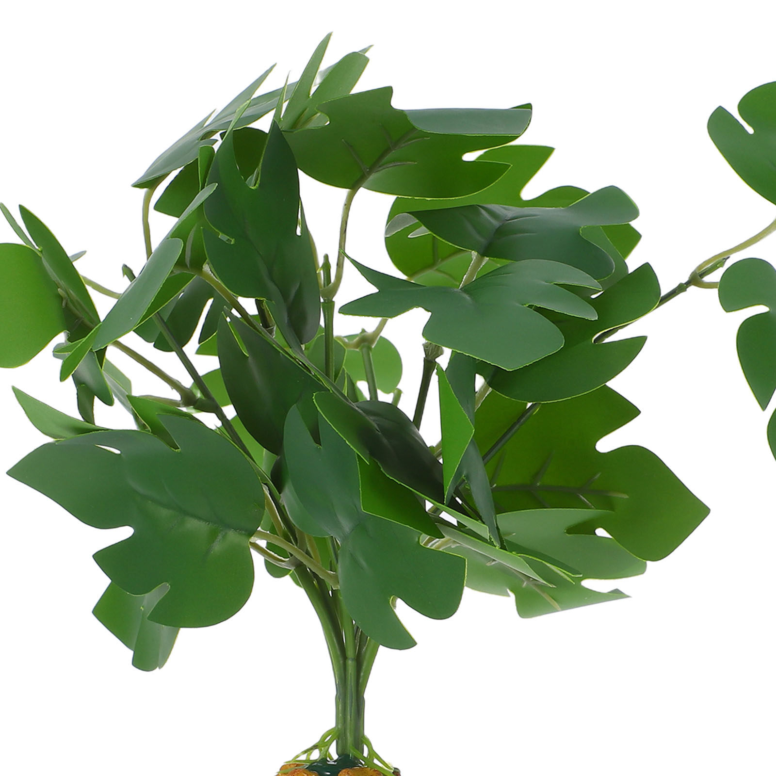 Lifelike Artificial Plants Fak - огляд і ціна Aquarium Fish Dragon