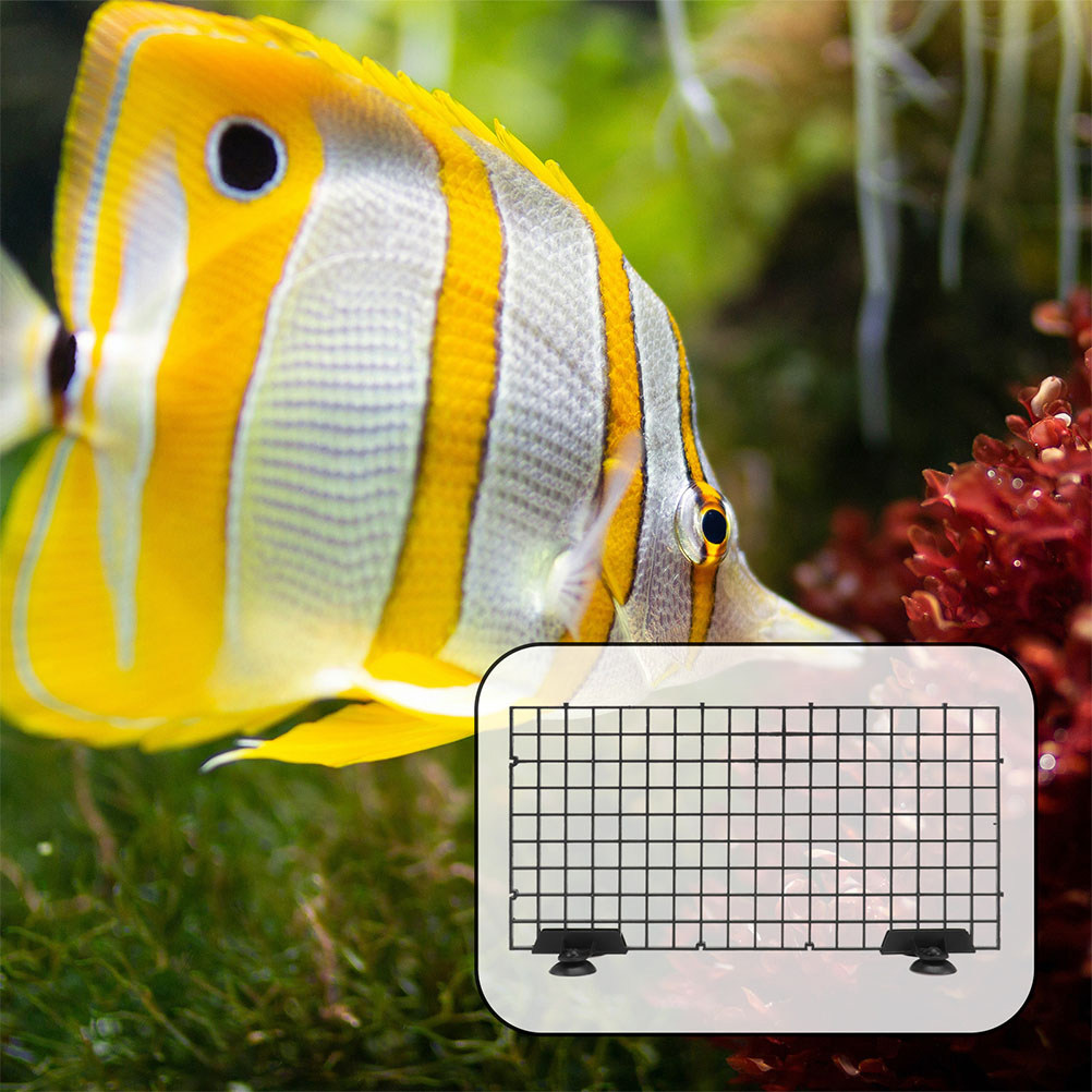 4 Sets Fish Tank Divider Separ - огляд і ціна Tank Divider Mesh
