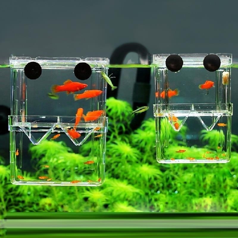 Multifunctional Fish Aquarium  - огляд і ціна Aquarium Fish Background