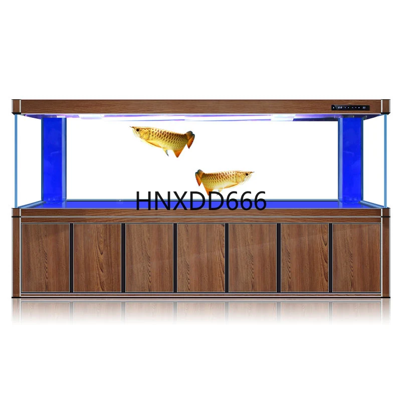 Large golden dragon fish tank  - огляд і ціна Aquarium Fish Dragon