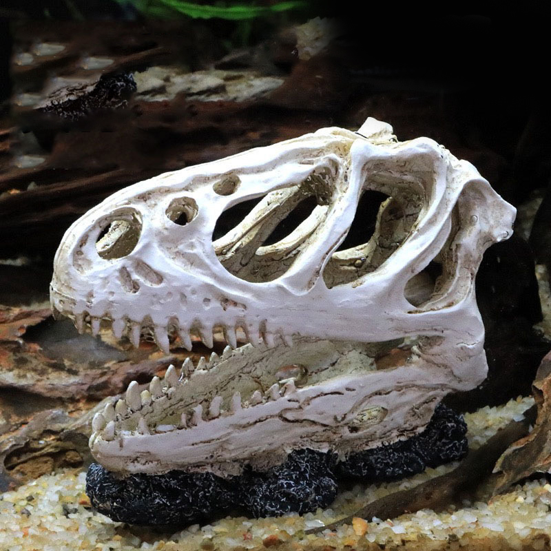 Dinosaur Skull Model Velocirap - огляд і ціна Aquarium Fish Diseases