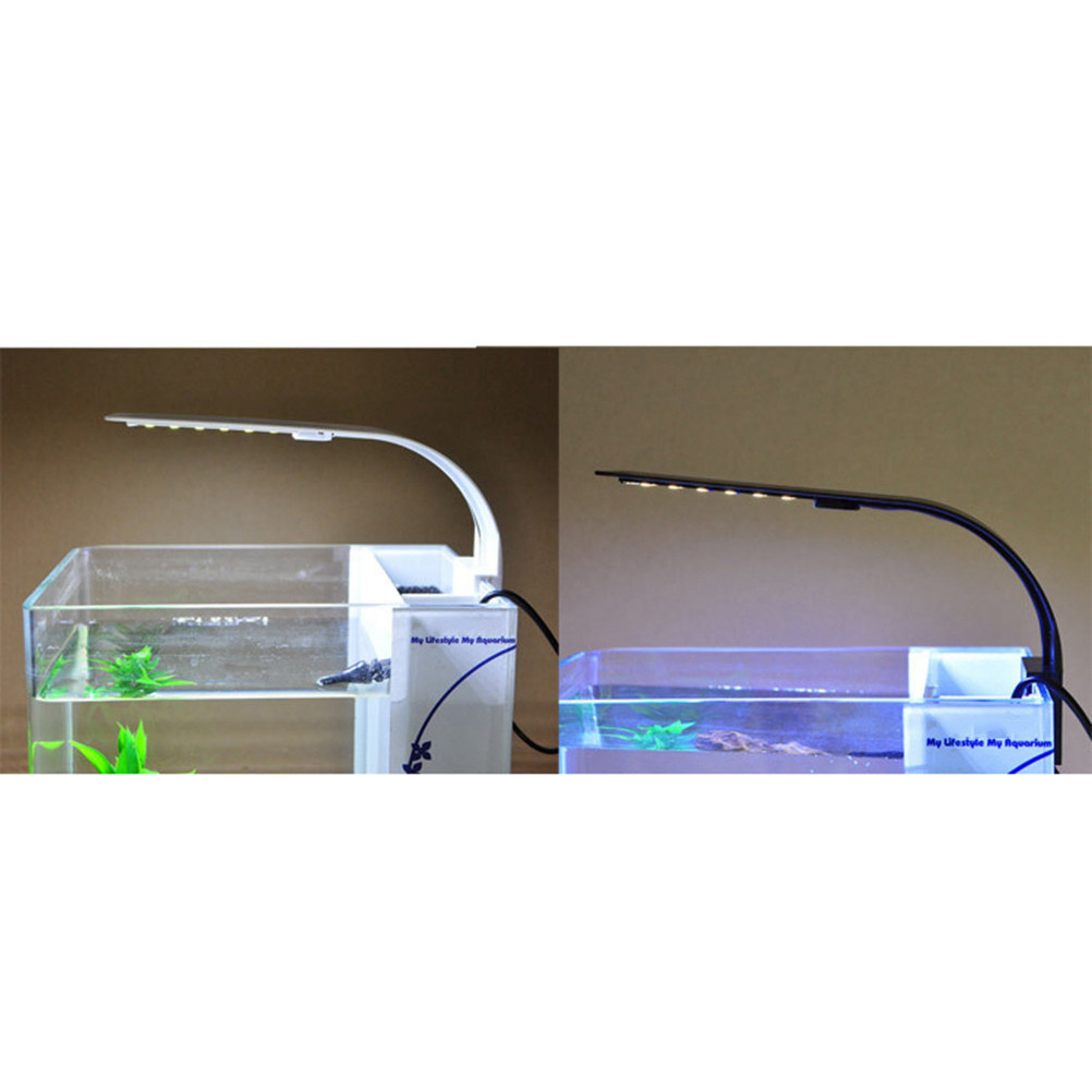 LED Aquarium Light for Fish Ta - огляд і ціна Aquarium Fish With Long Lifespan